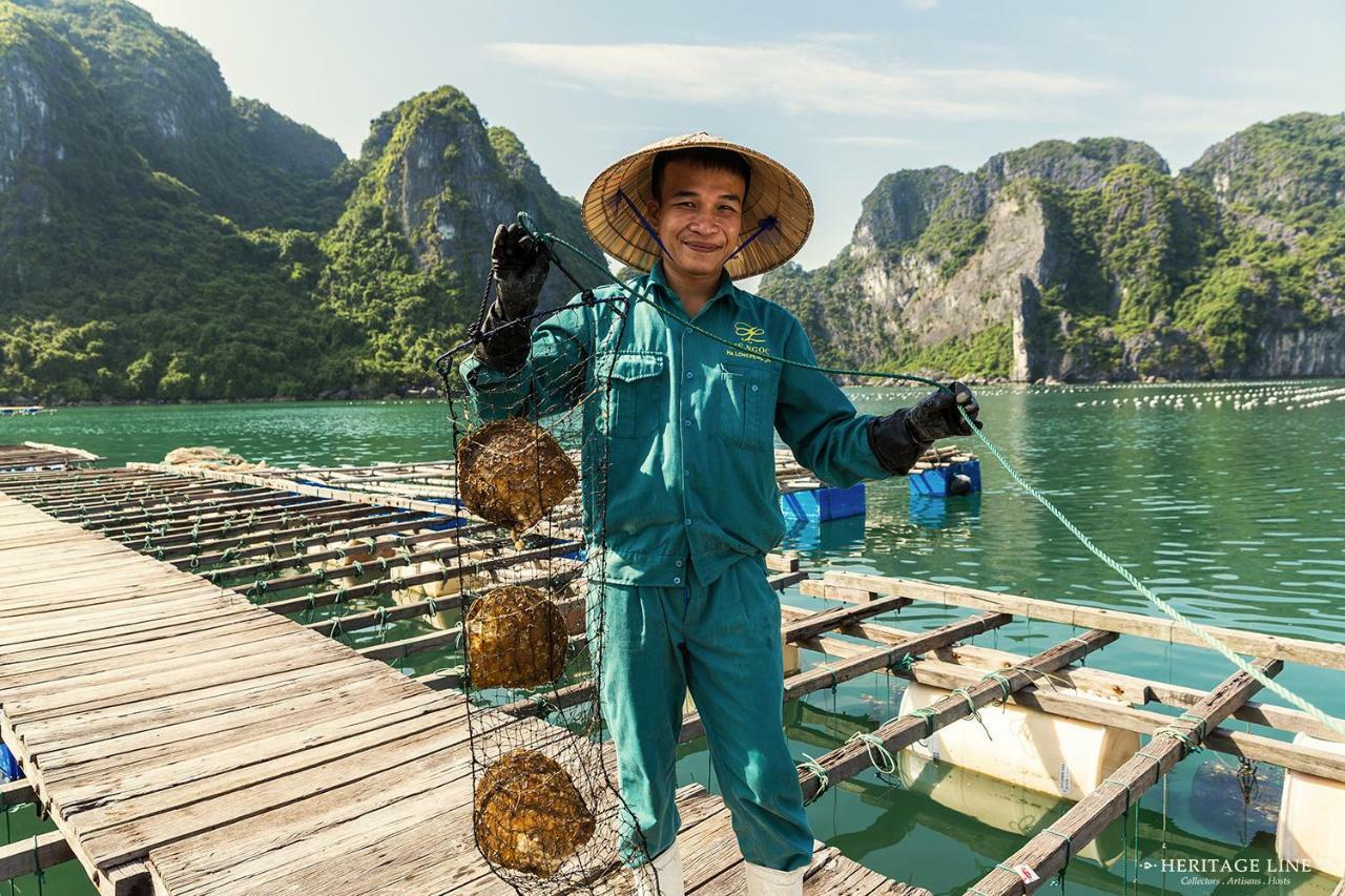 Heritage Line Violet Cruise - Halong Bay & Lan Ha Bay Ha Long Exterior photo